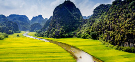 ninh binh