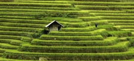 vietnam mosaic of constrast