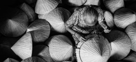 vietnam tradition