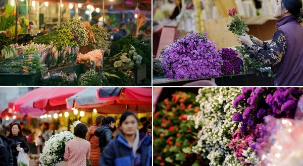 Where should you visit? Hanoi or Ho Chi Minh - Travel information for Vietnam from local experts