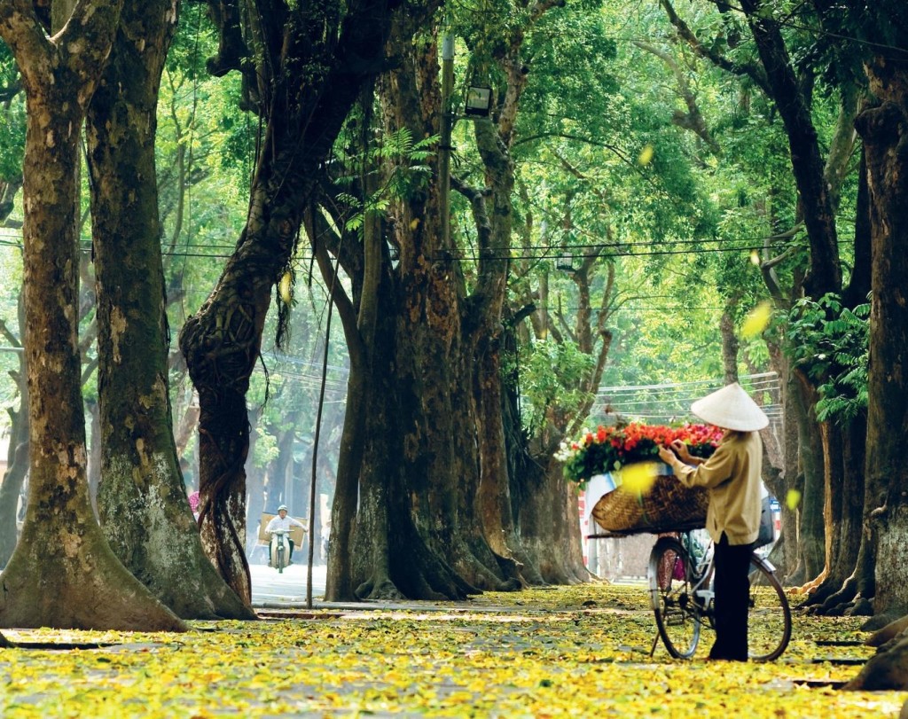 hanoi-autumn