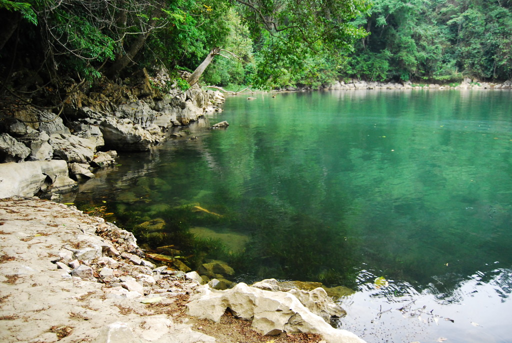 fairy-pond