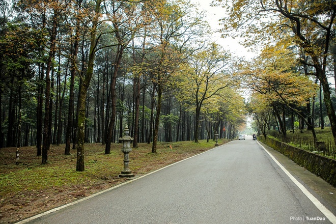 ba-vi-park