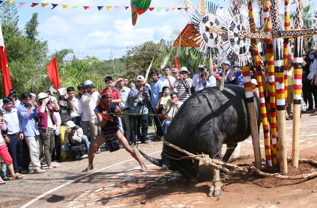 buffalo-stabbing-festival
