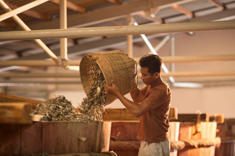 Chượp - mixture of fish and salt