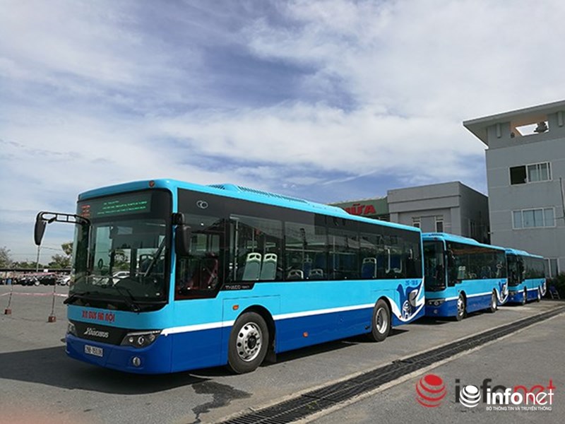 Newest blue buses are no.36 and no.38