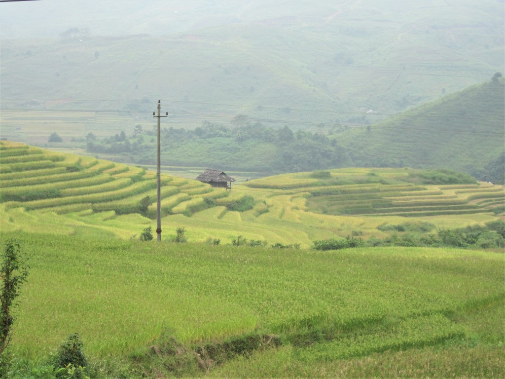 Scenery on the pass