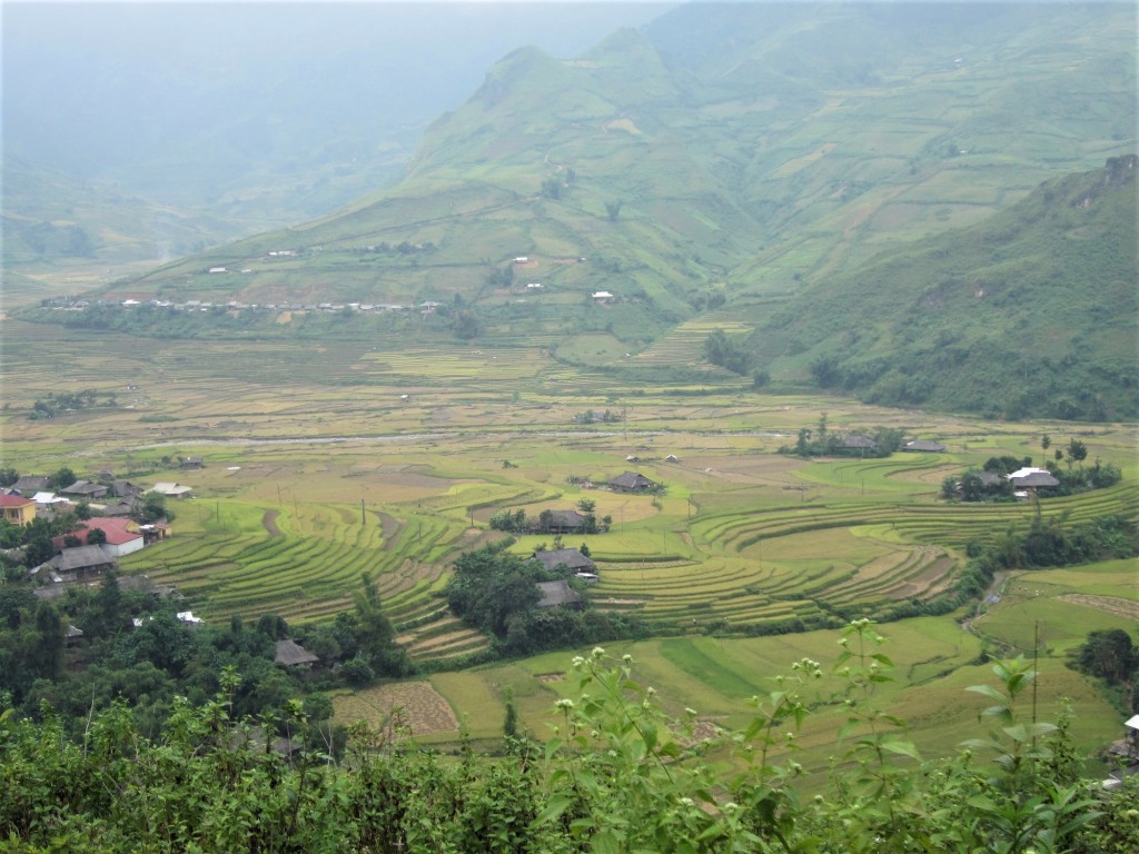 A Thai village