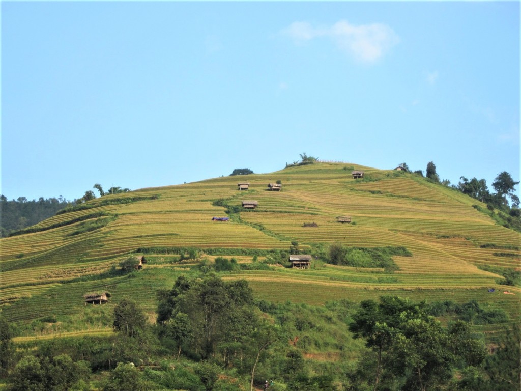 fields-at-ba-nha-bridge2