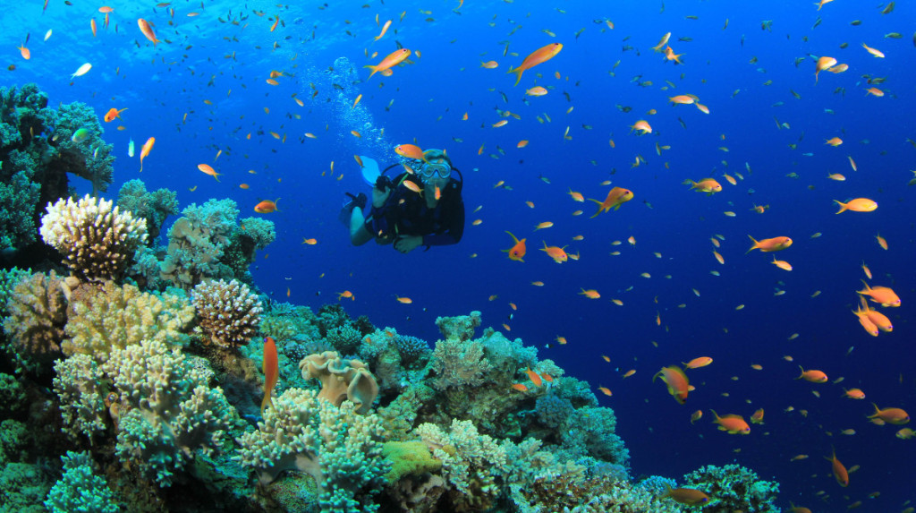 scuba-diving-in-nha-trang