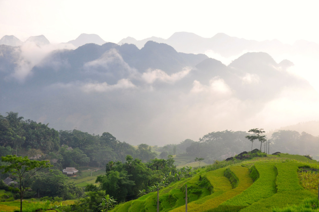 nature-reserve