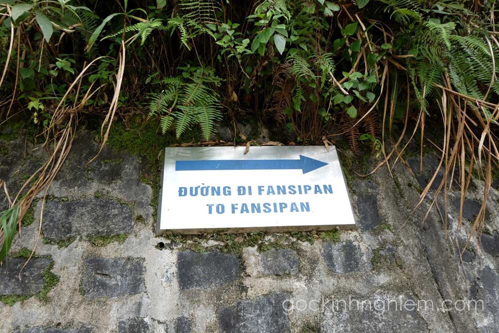 Road to Fansipan (Source: gockinhnghiem)