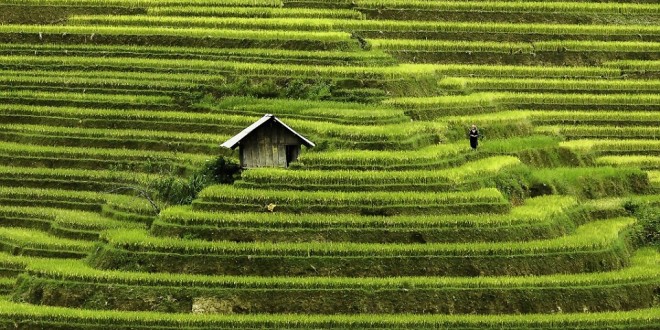 vietnam mosaic of constrast