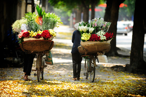 hanoi beauty