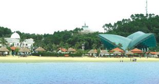 Dao Tuan Chau